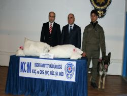 37 kilo sentetik uyuşturucu yakalandı